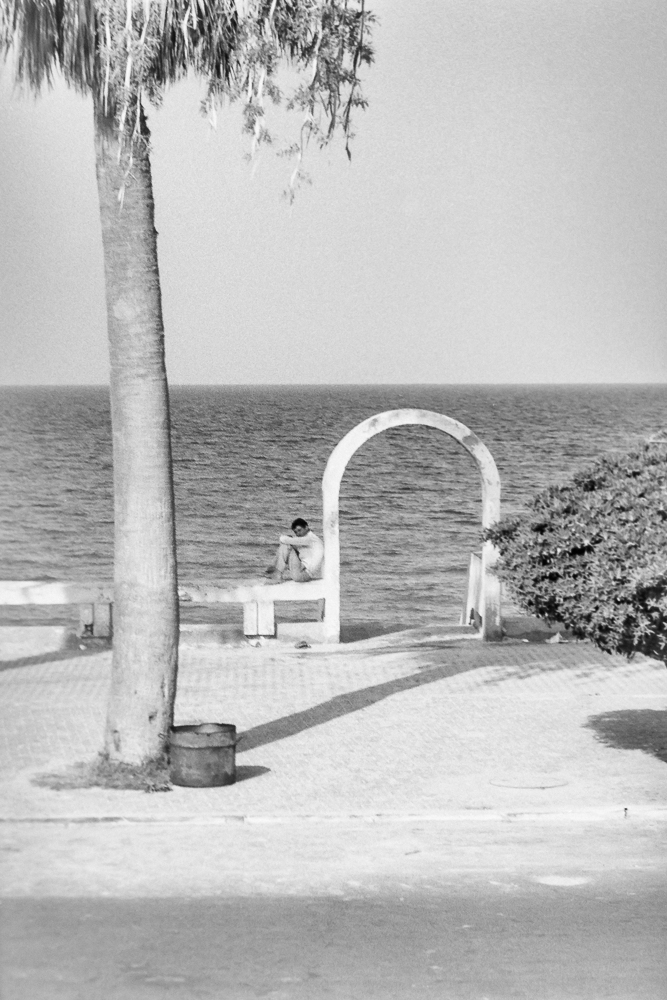 P1165368 FX