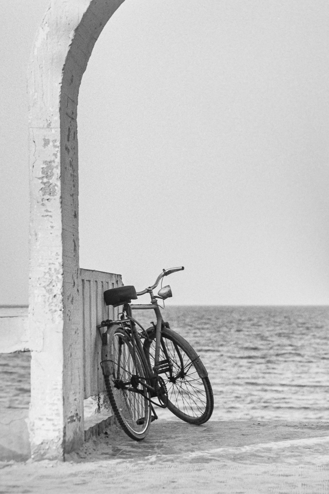 P1165368 FX