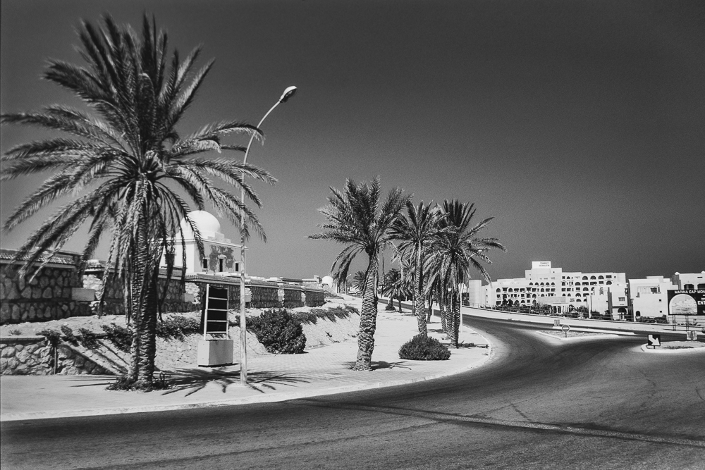 P1165368 FX