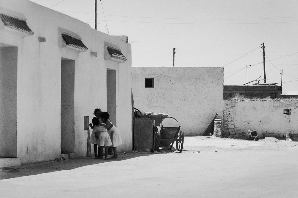 P1165368 FX