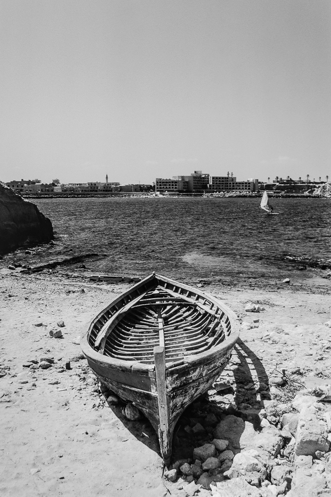 P1165368 FX