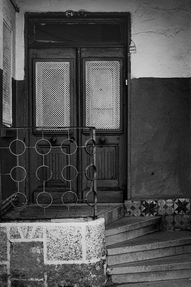 P1165368 FX