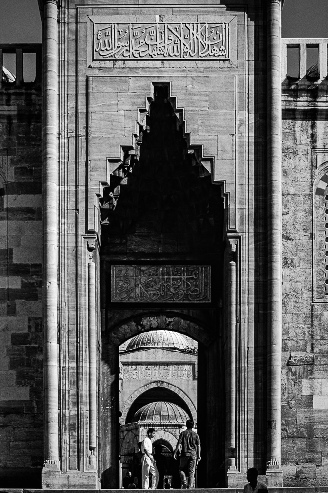 P1165368 FX